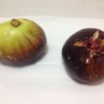 ほねとかわとがはなれるおと 読みが長い漢字